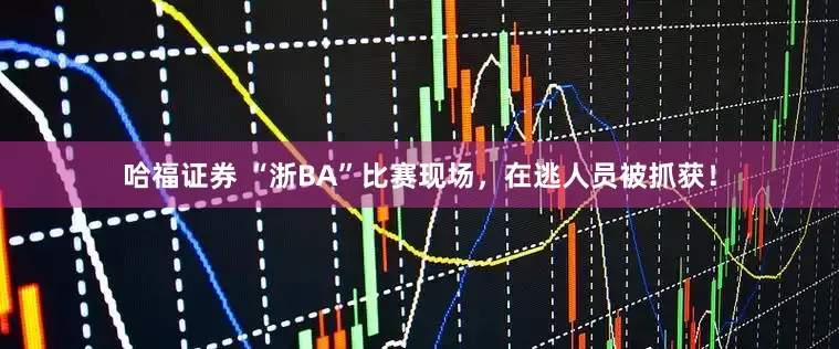 哈福证券 “浙BA”比赛现场，在逃人员被抓获！