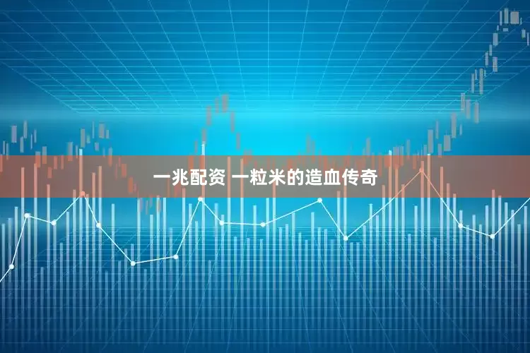 一兆配资 一粒米的造血传奇