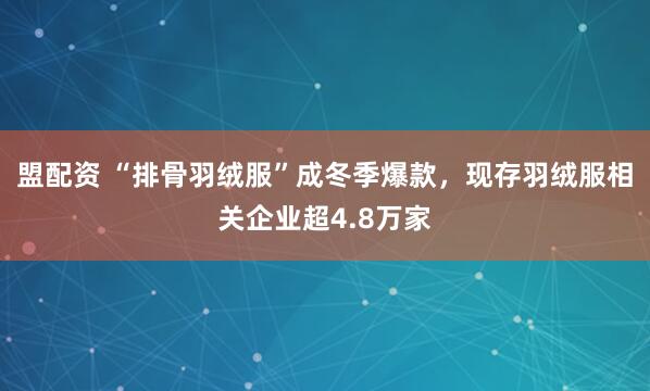 盟配资 “排骨羽绒服”成冬季爆款，现存羽绒服相关企业超4.8万家