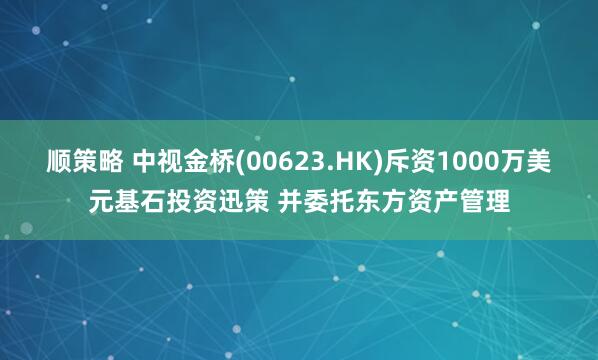 顺策略 中视金桥(00623.HK)斥资1000万美元基石投资迅策 并委托东方资产管理